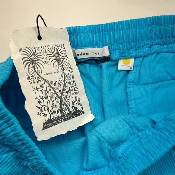 Adam Mar. Turquoise Shorts - Picture 3 of 6